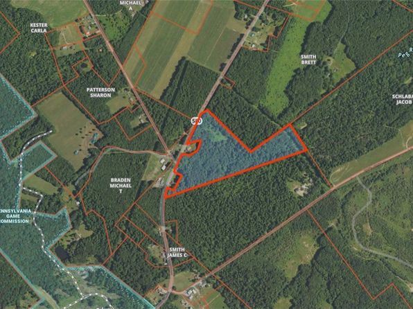 24 Acres Along Rte #580, Cherry Tree, PA 15724