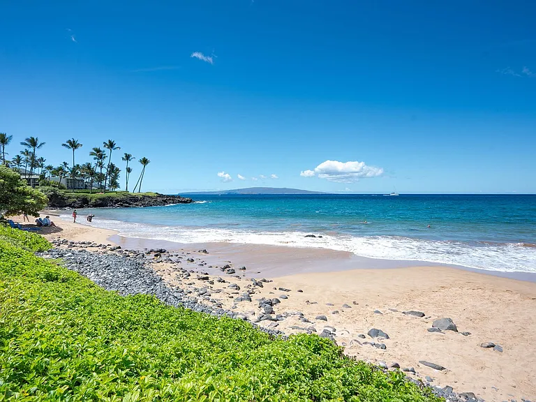 Wailea Alanui Dr — Photo 49