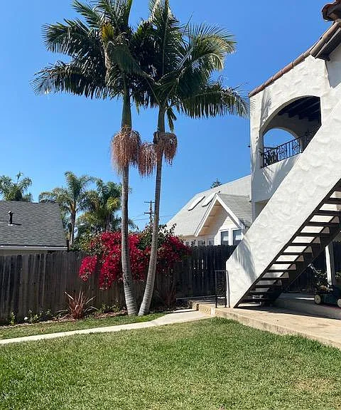 Southwest corner of lot with our beautiful palm.