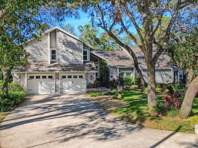 2420 Butternut Ct, Dunedin, FL, 34698