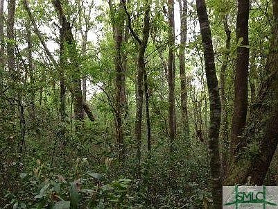 1st image of 0 Mount Hope Road