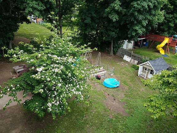 Back Yard/Garden
