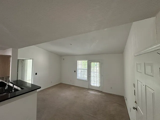 7701 Timberlin Park Blvd #1333 — Photo 7