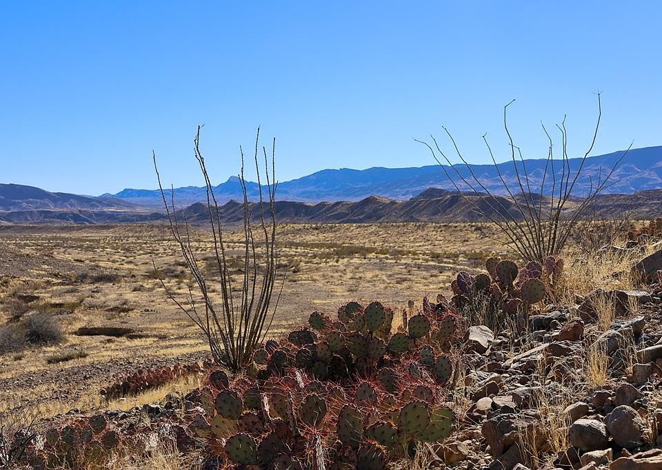 1st image of Chispa Rd