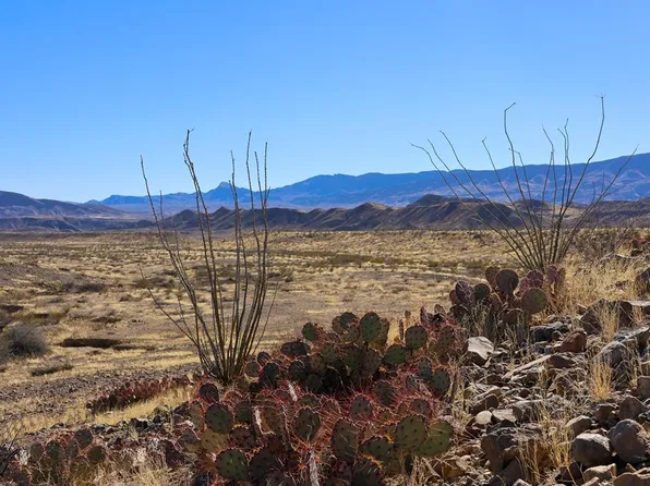 Chispa Rd, Valentine, TX 79854