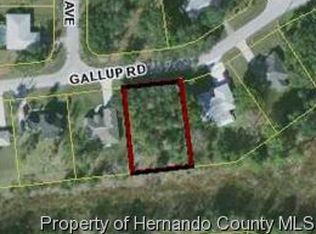 Gallup Rd, Spring hill, FL 34608