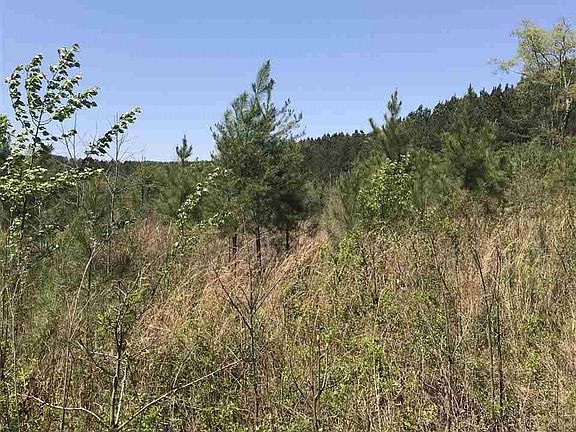 3rd image of 0 County Road 273