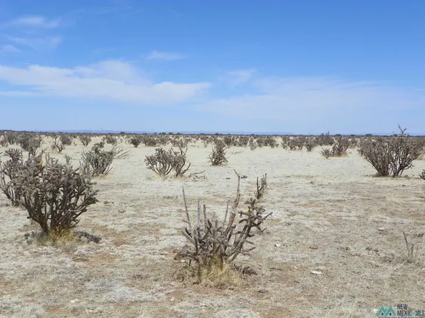 Pecos Ave, Santa Rosa, NM 88435