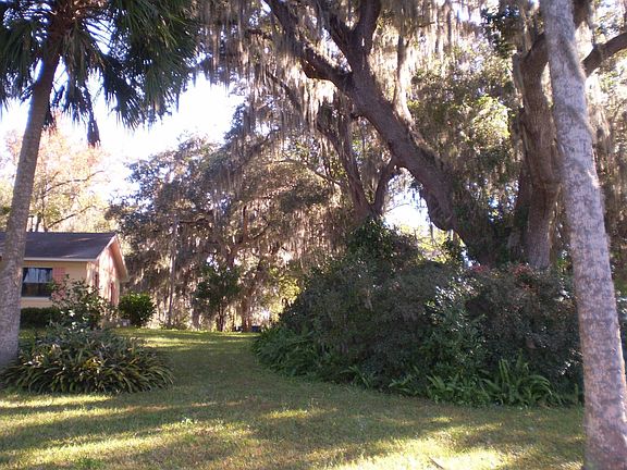 Partial of trees & Azaleas