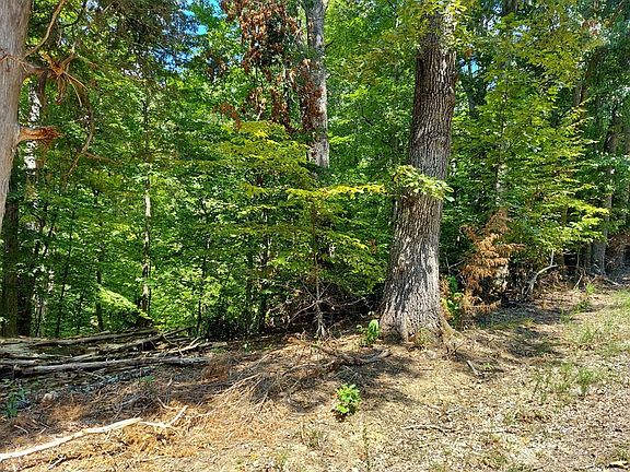 4th image of LOT 877 Stoneway Pl