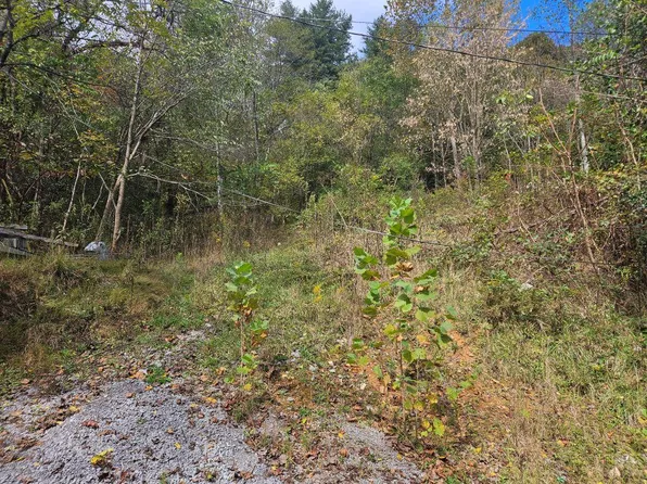 1727 Right Poor Valley Rd, Pennington Gap, VA 24277