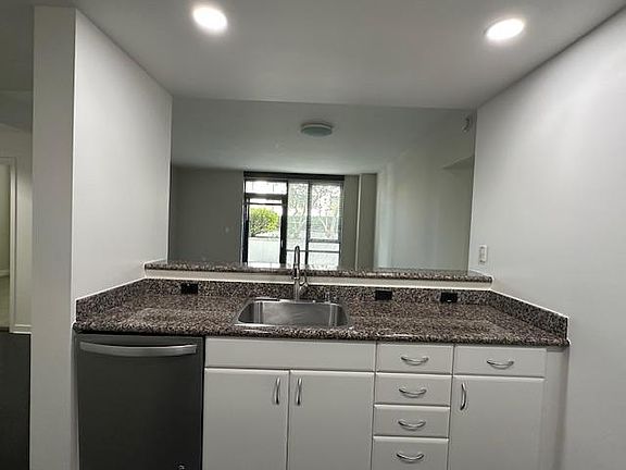 Kitchen diswasher counter