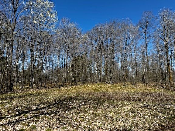 2nd image of Lot 1 State Highway 77 E