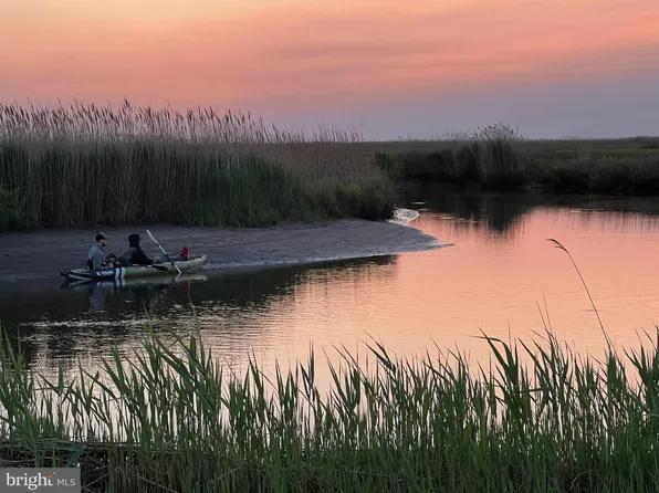 2229 Elliott Island Rd, Vienna, MD 21869