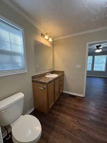 113 Cobalt Ln — Photo 20