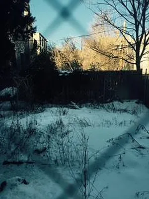 Rented by Douglas Elliman | media 26