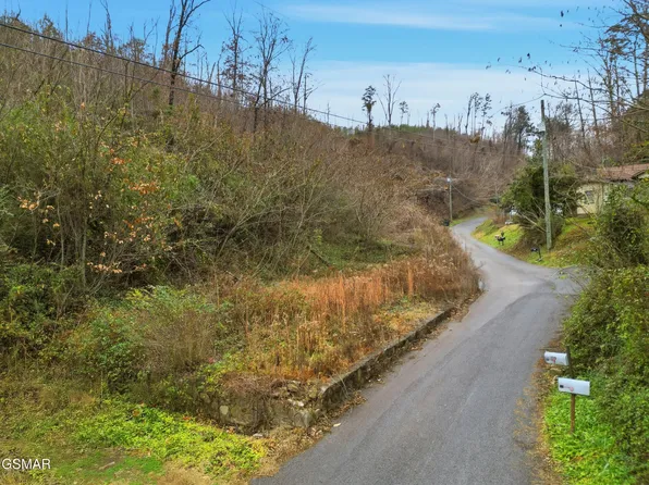 119 Hickam Hollow Rd, Gatlinburg, TN 37738