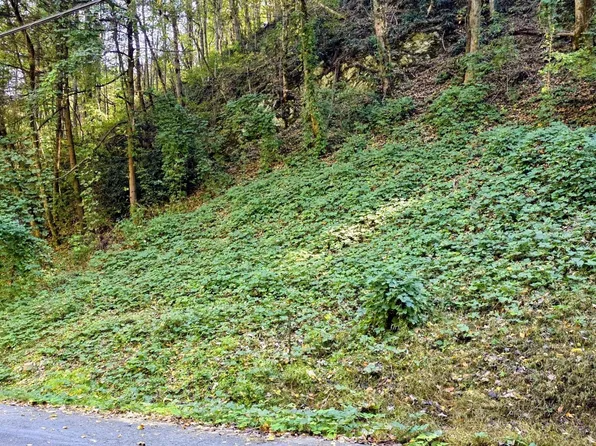 40 Black Walnut Flats Rd Lot 40, Sevierville, TN 37862