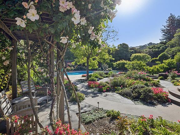 3rd image of 58 Mount Muir Court