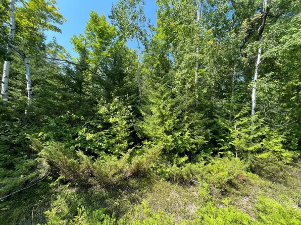 Renwick Cir W, Presque Isle, MI 49777