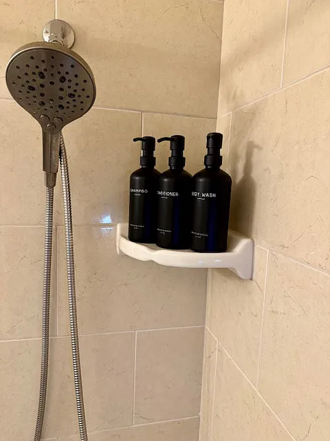 2 bed, 900 sqft, $3,000 — Photo 3