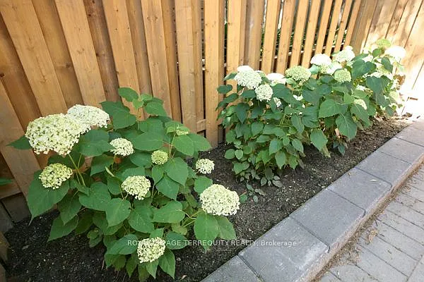 48 McGill St — Photo 35