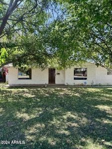 510 N Olive St, Mesa, AZ, 85203