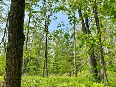 LOT 1827 Sandpiper Trl, Gaylord, MI, 49735