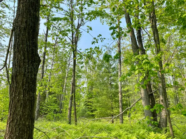 LOT 1827 Sandpiper Trl, Gaylord, MI 49735