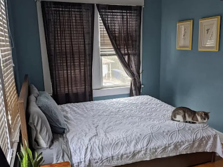 244 Natalen St #4 — Photo 11