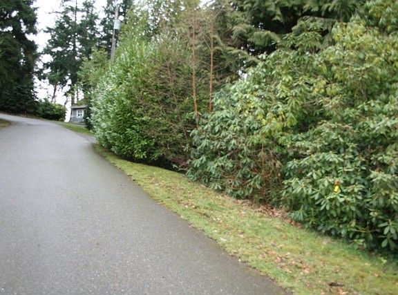 4th image of 2774 Irenella Ln