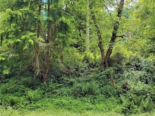 11909 11911 Country Club Drive, Anderson Island, WA 98303