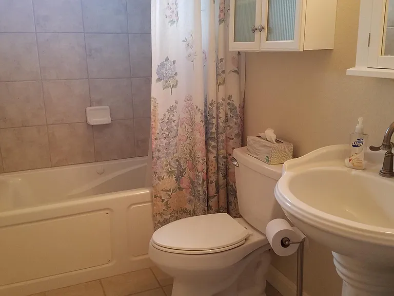 Hall Bath with whirlpool tub and shower