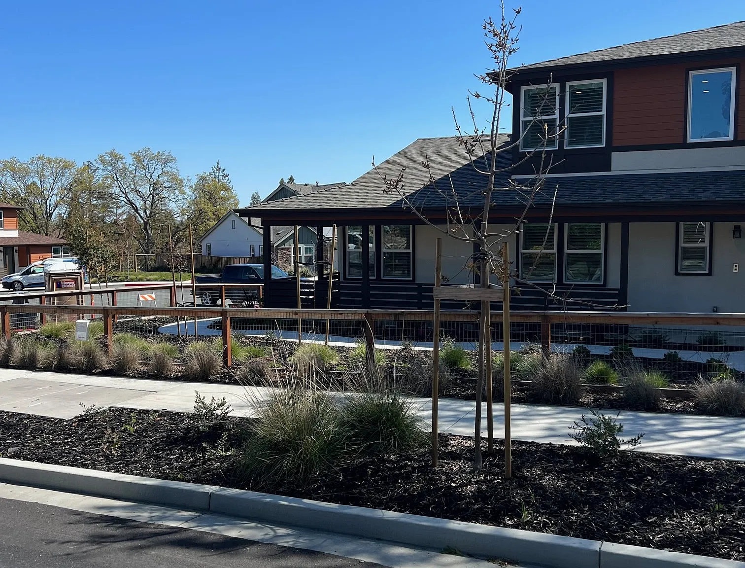 Newer Ponderosa Beauty — Photo 1