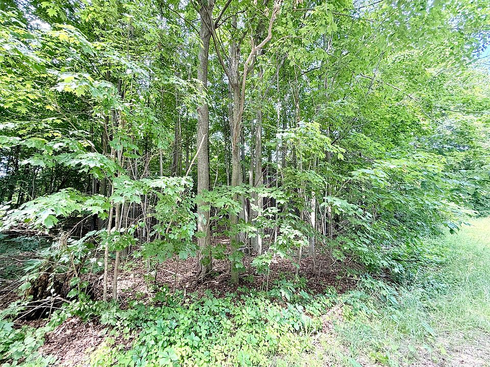 2nd image of 0 Chasm Rd Lot 2