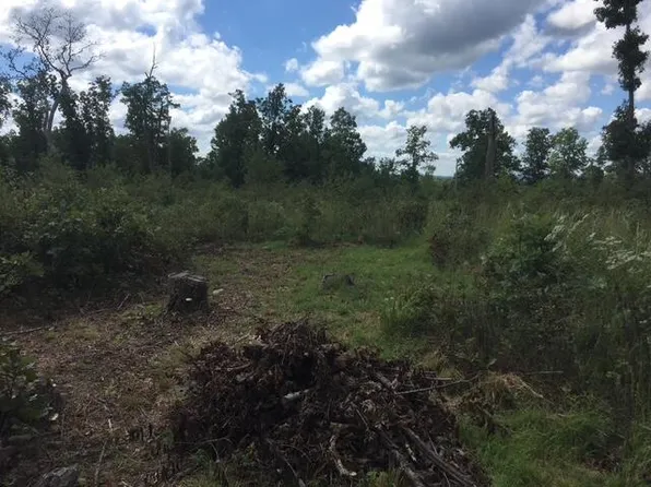 1240 County Rd 875, Thornfield, MO 65762