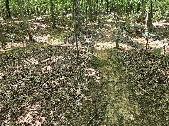 4th image of 550 Holly Ridge Dr #22G