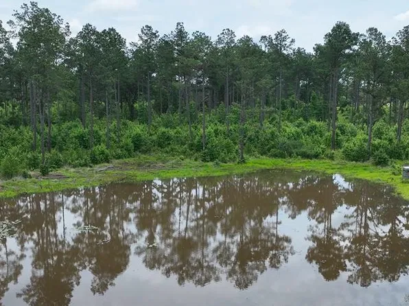 County Road 2468, Douglassville, TX 75560