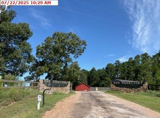 161 Cilantro, Diana, TX 75640