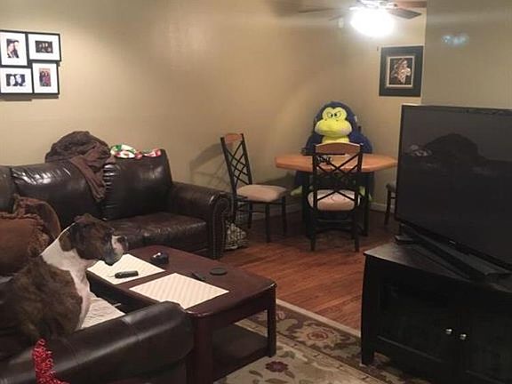 4th image of 7506 Janak Dr