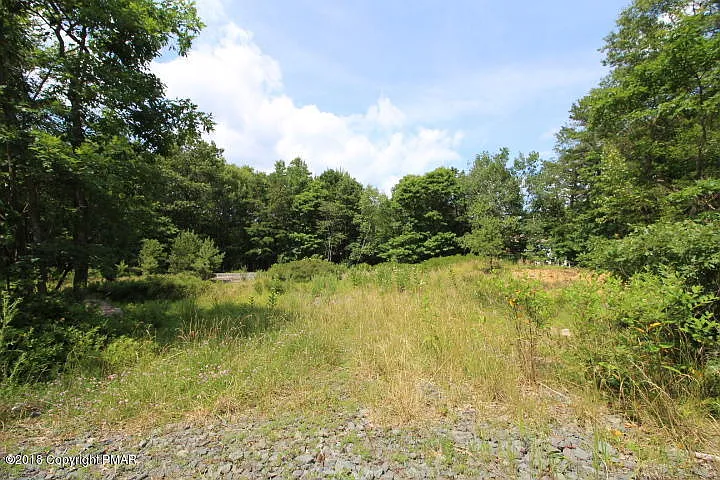 98 Old Stage Rd photo 1