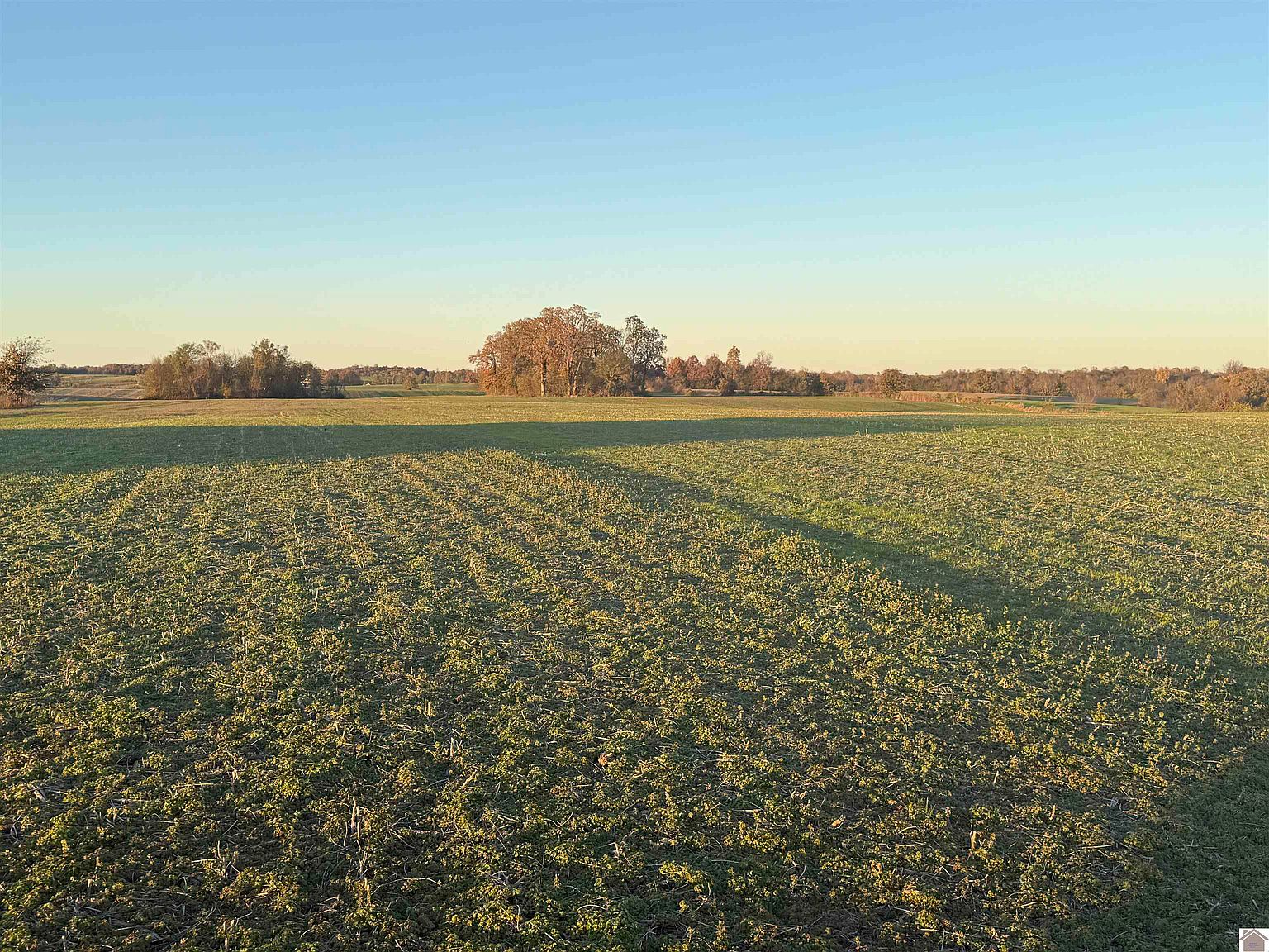 4445 Old Dublin Rd Mayfield KY 42066 MLS #129640 Zillow 4445 Old Dublin Rd Mayfield KY 42066 MLS #129640 Zillow