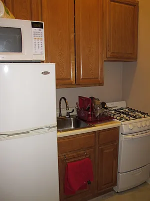 Rented by Manhattan Flats | media 32