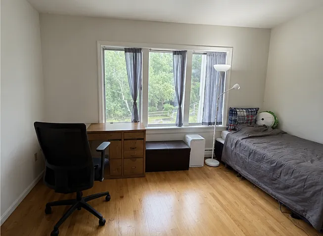 37 Tulip Tree Ln — Photo 18