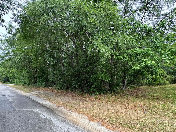 5th image of 0 Ellis Ave N