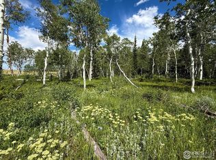 0 Dewclaw Rd, Red Feather Lakes, CO 80545