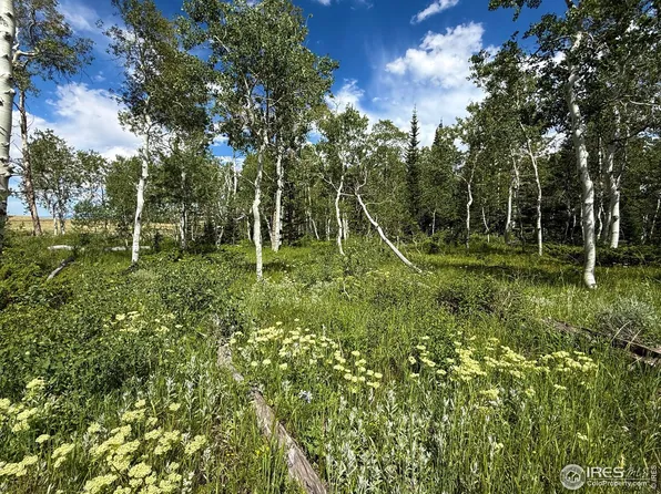 0 Dewclaw Rd, Red Feather Lakes, CO 80545