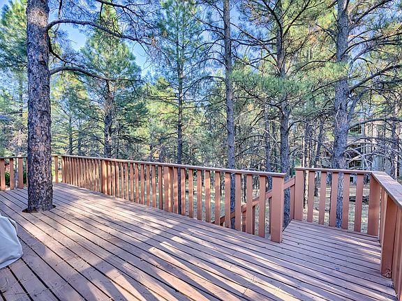 Large Back Deck