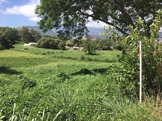 2nd image of Mamalahoa Hwy Lot 5
