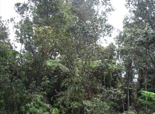 11 3910th LOT 53B4, Volcano, HI 96785